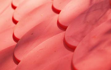 Ruthwaite plastic roof costs